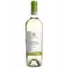 Vermentino di Gallura DOCG Superiore Katala 2022 Tondini